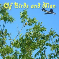 2008: Birds and Men